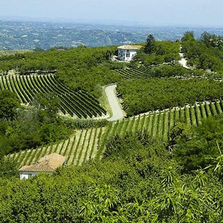 Agriturismo Cascina Anri Mango Bagian luar foto