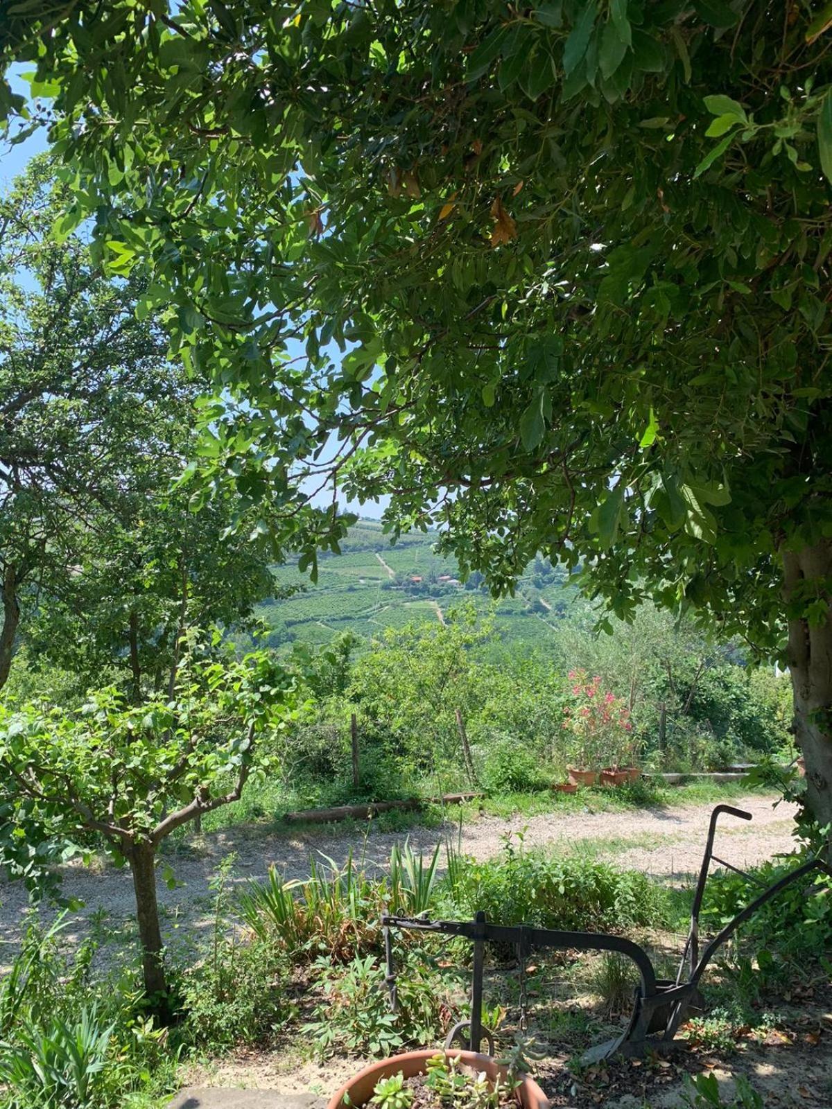 Agriturismo Cascina Anri Mango Bagian luar foto