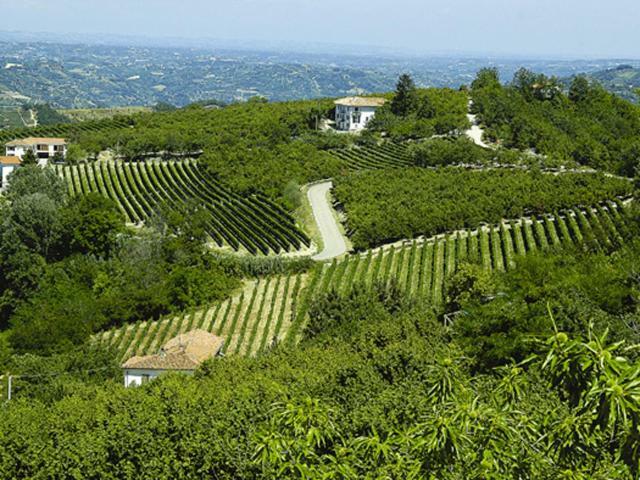 Agriturismo Cascina Anri Mango Bagian luar foto